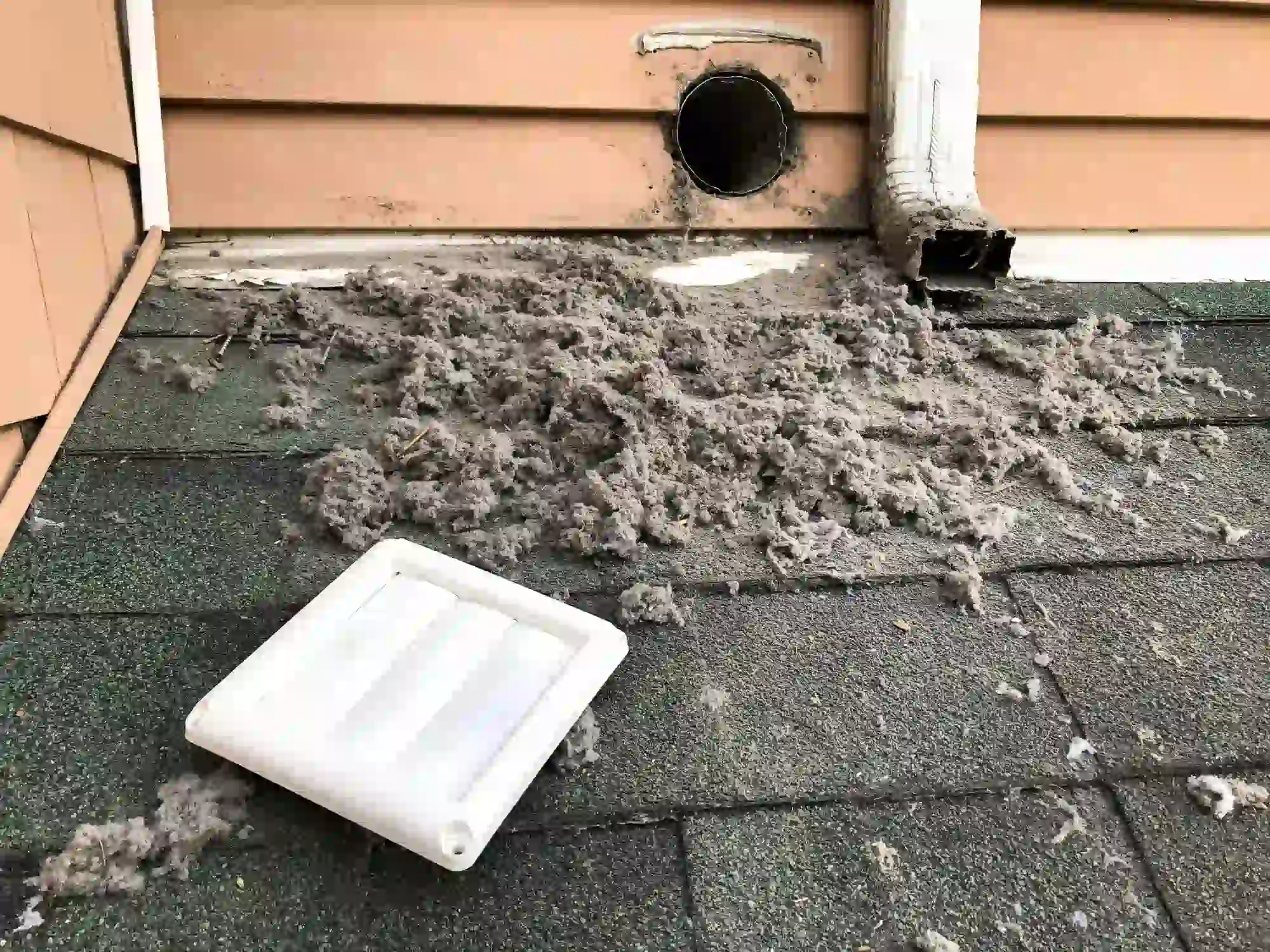 A high-angle view shows a large pile of lint and debris scattered on a dark shingled roof, likely after being removed from a dryer vent. Above the debris, a dark, open dryer vent pipe is visible in the brown siding, next to a white downspout. A white plastic vent cover is lying detached on the shingles in the foreground.