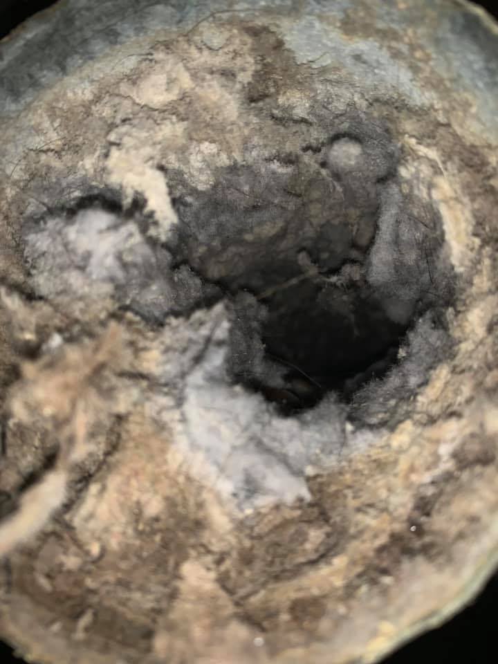 Dryer Vent Cleaning Near Groveland Florida